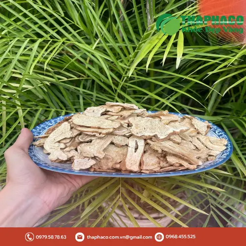 Bạch truật sấy khô đóng gói tại Thaphaco
