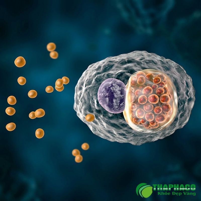 Phòng ngừa Chlamydia hiệu quả bao gồm thực hành tình dục an toàn, duy trì mối quan hệ chung thủy