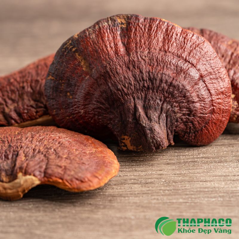 Thảo dược Thaphaco có thể hỗ trợ giảm viêm và cải thiện triệu chứng viêm da cơ