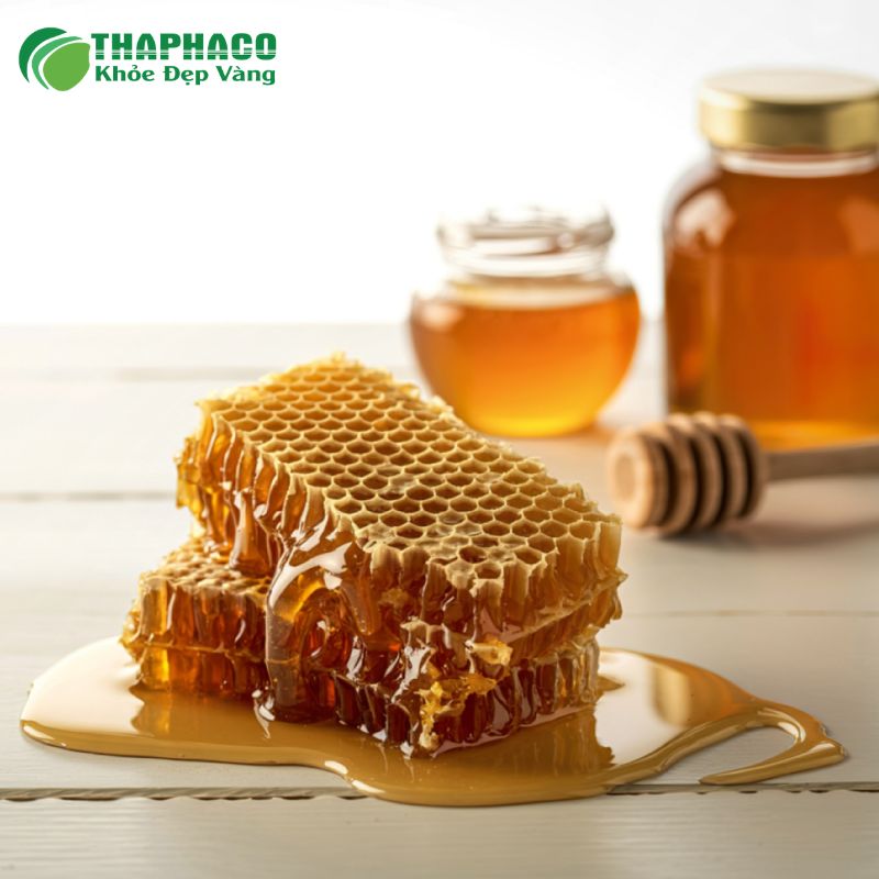Dược Liệu Thaphaco Hỗ Trợ Sức Khỏe Mạch Máu Hiệu Quả