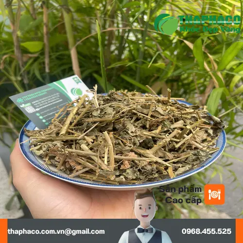 Cà gai leo sấy khô THAPHACO đóng gói túi 1kg tiện lợi và kinh tế