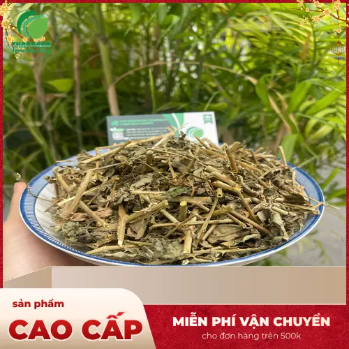Dược liệu cà gai leo THAPHACO luôn sẵn sàng phục vụ khách hàng