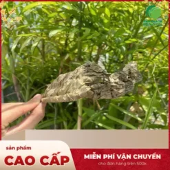 Lá Khôi Tía Sấy Khô THAPHACO: Giá Rẻ, Chất Lượng tại TP.HCM