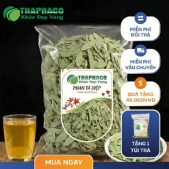 Địa chỉ bán sỉ phan tả diệp khô tại TP.HCM – Dược Liệu THAPHACO