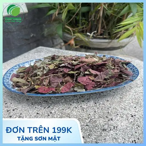 Hình ảnh lá đơn đỏ tươi, thảo dược quý hỗ trợ điều trị viêm da cơ địa