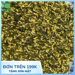Bao nhiêu tiền 1kg tim sen sấy khô? Báo giá THAPHACO