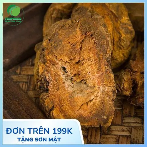 Hình ảnh minh họa dược liệu tự nhiên THAPHACO chất lượng
