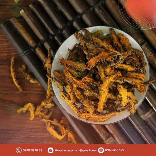 Hoàng Liên nguyên chất - Dược liệu quý của THAPHACO