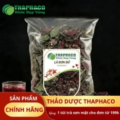 Địa chỉ bán sỉ lá đơn đỏ tại TP.HCM - THAPHACO