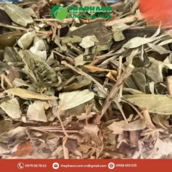 Khổ Sâm THAPHACO: Giá Tốt, Ưu Đãi & Chất Lượng Chuẩn Dược Sĩ