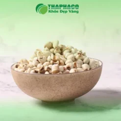 Sỉ ý dĩ chất lượng tại TP.HCM: Giải pháp tối ưu từ THAPHACO