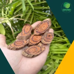 Địa chỉ bán sỉ Kê Huyết Đằng chất lượng tại TP.HCM