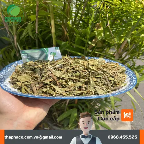 Hình ảnh cây hoàn ngọc khô tươi