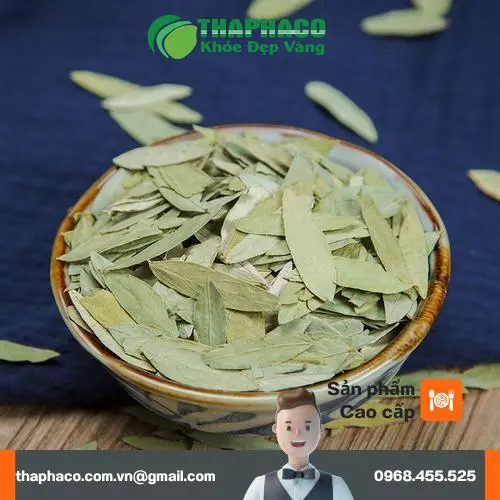 Cách sử dụng phan tả diệp khô đúng cách