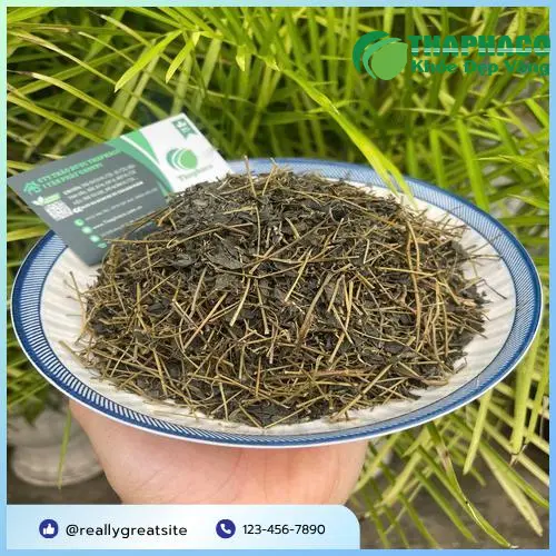 Quy trình kiểm soát chất lượng Giảo Cổ Lam tại THAPHACO