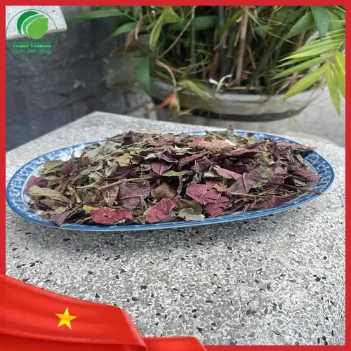 Hình ảnh cận cảnh những chiếc lá đơn đỏ khô đã được sơ chế sạch sẽ