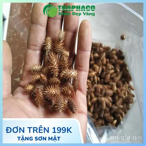 Giấy chứng nhận chất lượng ké đầu ngựa
