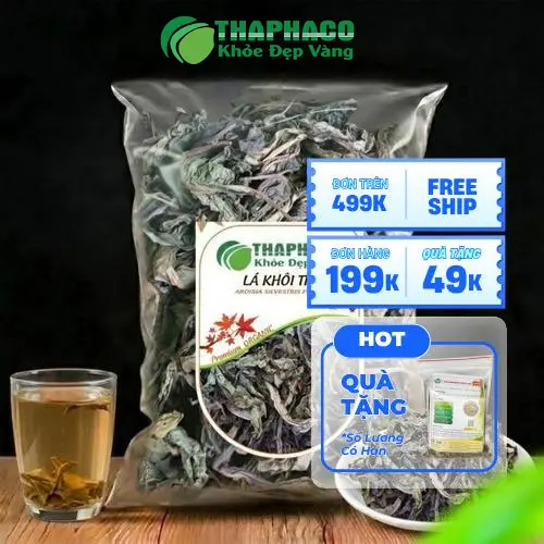 Lá khôi tía sấy khô được bảo quản đúng cách