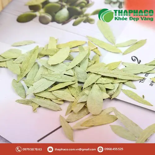 Quy trình kiểm định phan tả diệp tại THAPHACO