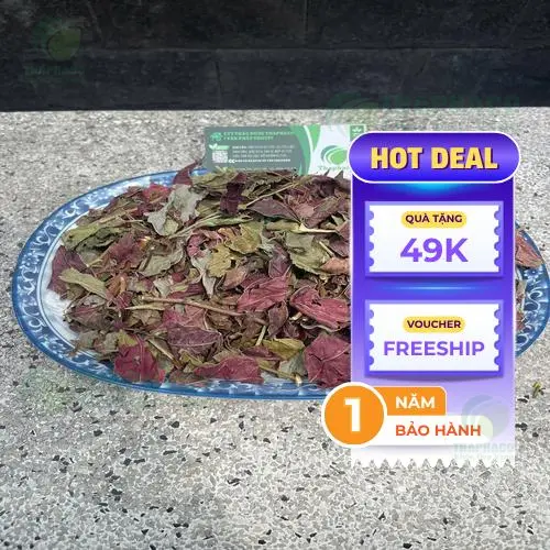 Lá đơn đỏ phơi khô, chuẩn bị cho quá trình chế biến