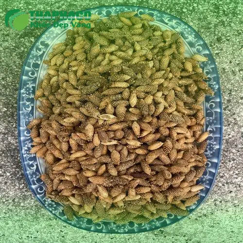Kiểm tra chất lượng Ké Đầu Ngựa sấy khô trước khi đóng gói