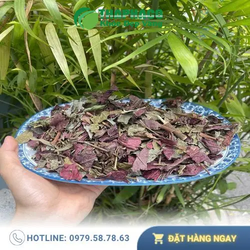 Hình ảnh lá đơn đỏ tươi và khô được đặt cạnh nhau, thể hiện sự tươi mới và chất lượng sản phẩm