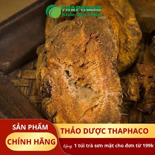 Đại Hoàng THAPHACO - Nguồn gốc rõ ràng, chất lượng đảm bảo