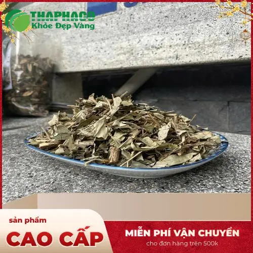 Khổ sâm THAPHACO đóng gói cẩn thận, kèm hướng dẫn sử dụng