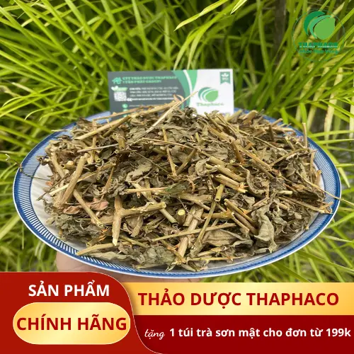 Bao bì cà gai leo THAPHACO với thông tin chi tiết