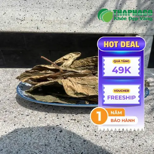 Giá lá khôi tía sấy khô và ưu đãi đặc biệt tại THAPHACO