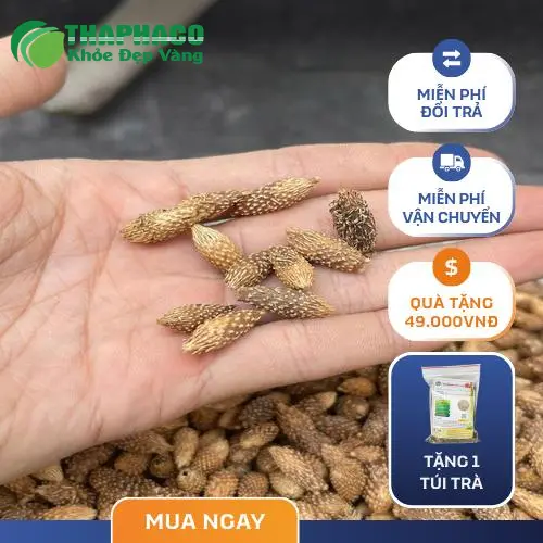 Hình ảnh sản phẩm Ké đầu ngựa sấy khô đóng gói tại THAPHACO