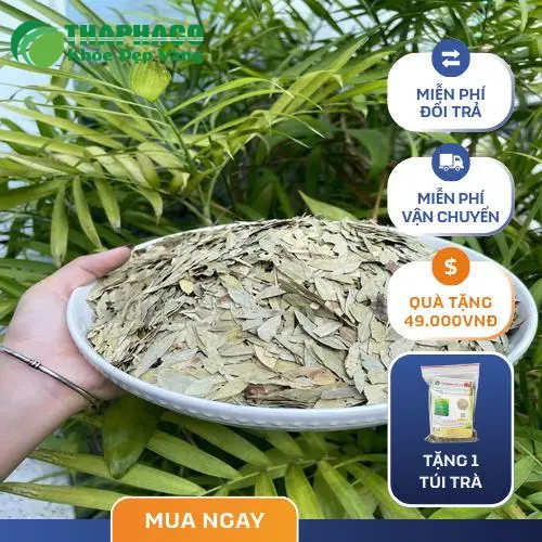 Các sản phẩm từ phan tả diệp