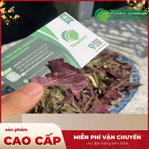 Hình ảnh bao bì sản phẩm lá đơn đỏ của THAPHACO với thông tin rõ ràng về thương hiệu và trọng lượng