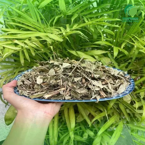 Khổ sâm khô đã thành phẩm, chất lượng cao