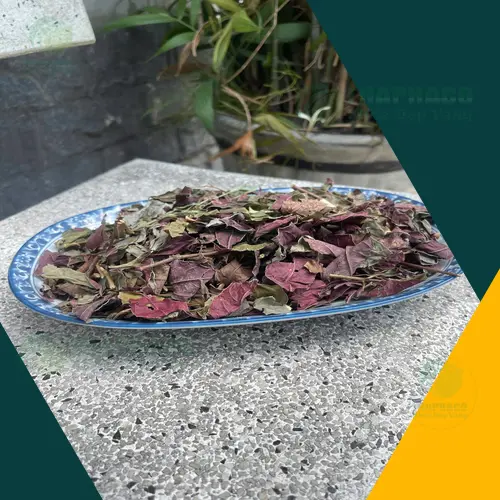 Bao bì sản phẩm đơn lá đỏ khô của THAPHACO