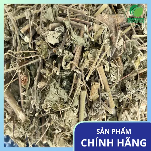 Cây cối xay tươi chuẩn bị cho quá trình kiểm định chất lượng