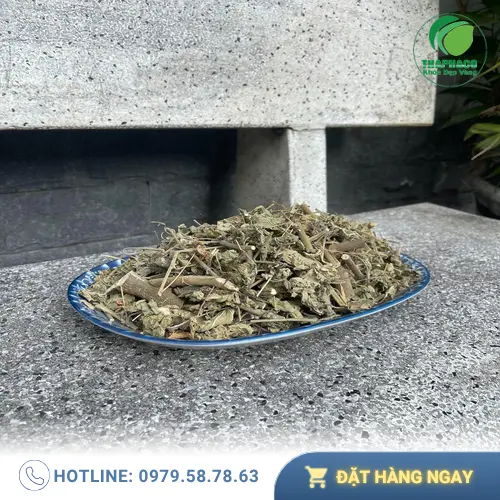 Hình ảnh cây cối xay tươi trước khi sấy khô