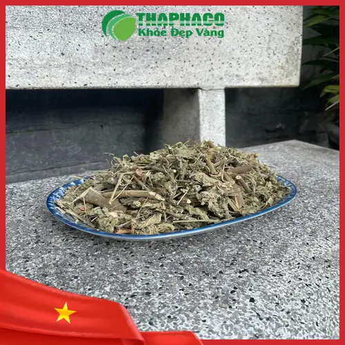 Hình ảnh cây cối xay tươi tại vườn dược liệu
