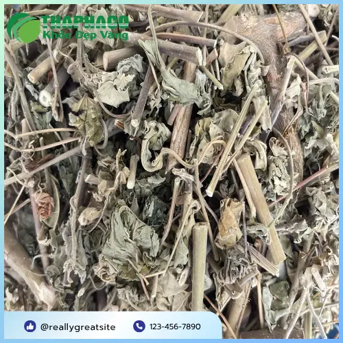 Mua cây cối xay tại chợ dược liệu truyền thống