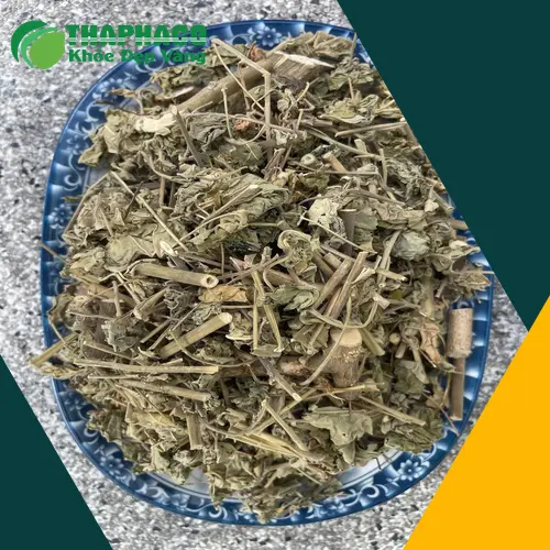 Quy trình sản xuất cây cối xay chất lượng tại THAPHACO