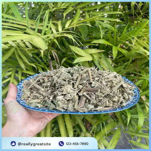 Quy trình đóng gói cây cối xay khô tại THAPHACO