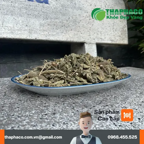Khách hàng tin dùng cây cối xay Dược Liệu THAPHACO