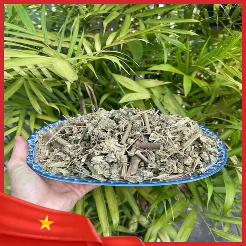 Sản phẩm Cây Cối Xay khô chất lượng cao từ THAPHACO