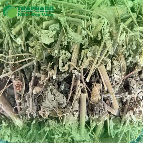 Trà cây cối xay đã pha sẵn trong bình thủy tinh