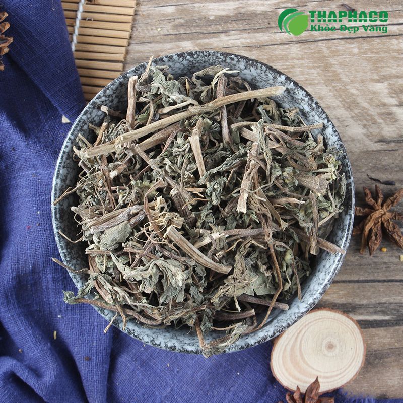 Cỏ nhọ nồi với khả năng cầm máu đã được chứng minh trong dân gian và y học cổ truyền
