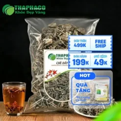 Chè Dây THAPHACO: Giải Pháp Vàng Cho Dạ Dày Khỏe Mạnh
