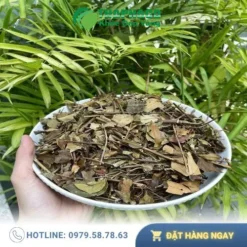 Chè Vằng 10kg Sỉ TP.HCM: Giá Tốt & Freeship Từ THAPHACO