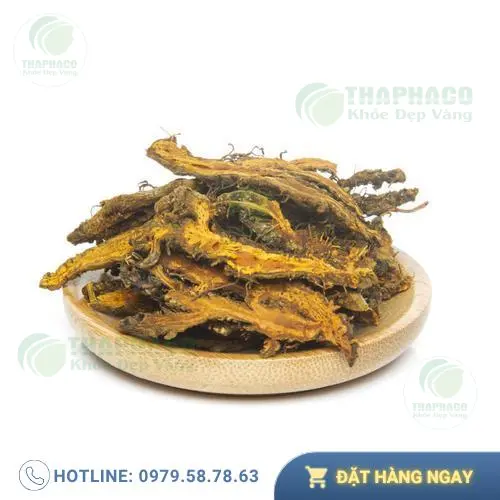Hình ảnh minh họa cây thuốc quý trong điều trị viêm đại tràng