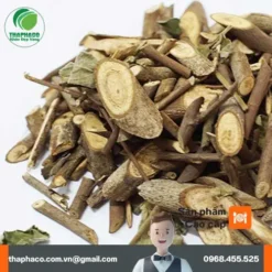 Cây An Xoa Giá Rẻ TP.HCM: Địa Chỉ Uy Tín & Chất Lượng