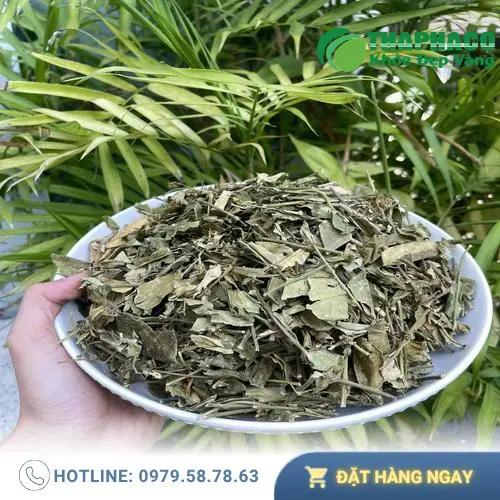 Dây Thìa Canh THAPHACO, thảo dược hỗ trợ tiểu đường tự nhiên